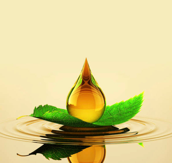 Beauty Oil: Grace PM Evening Oil