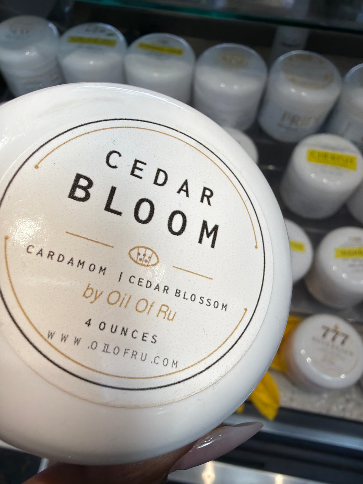 Body Butter | Cedar Bloom