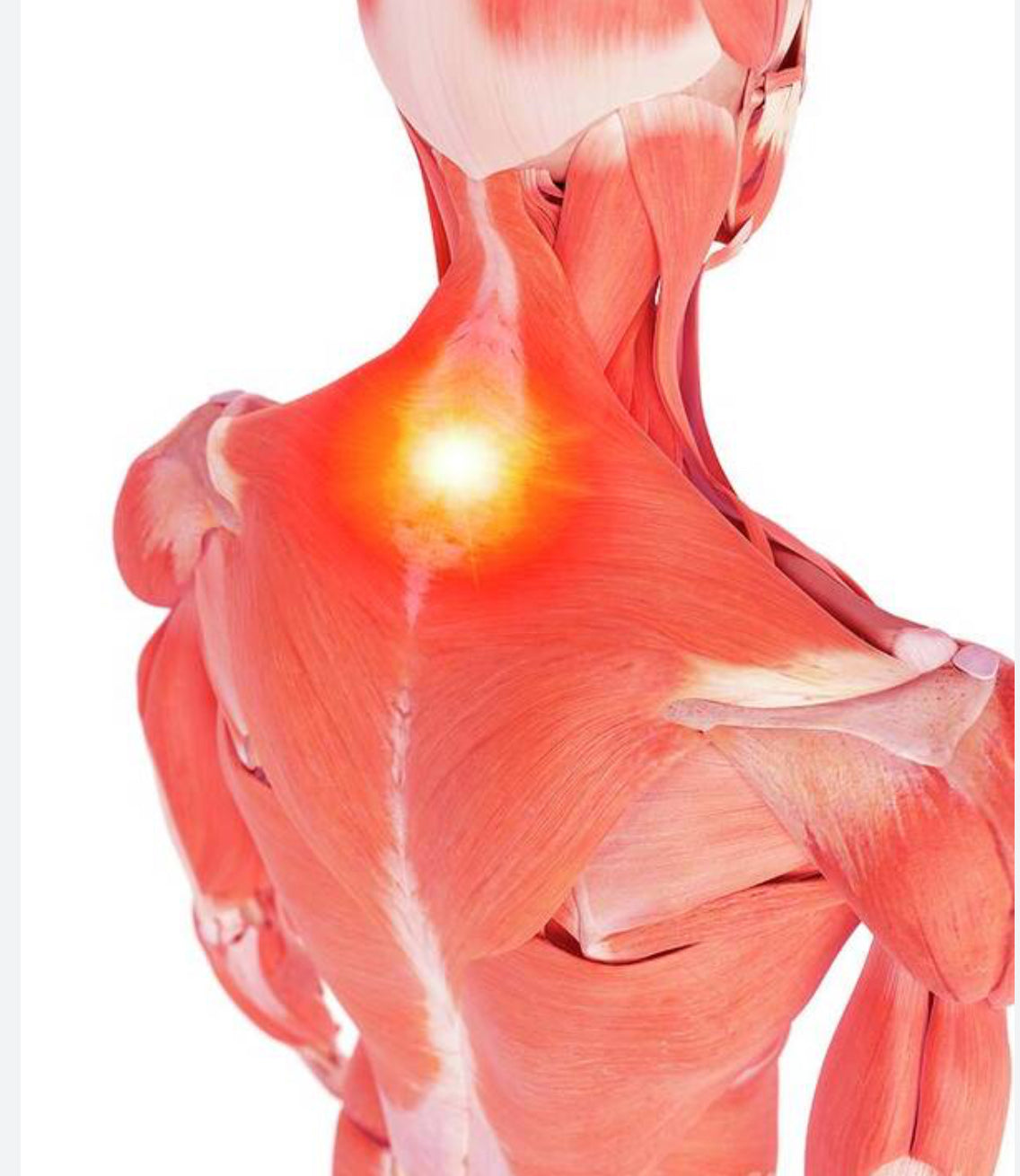 Byē Byē Eczəma  (bye bye eczema)